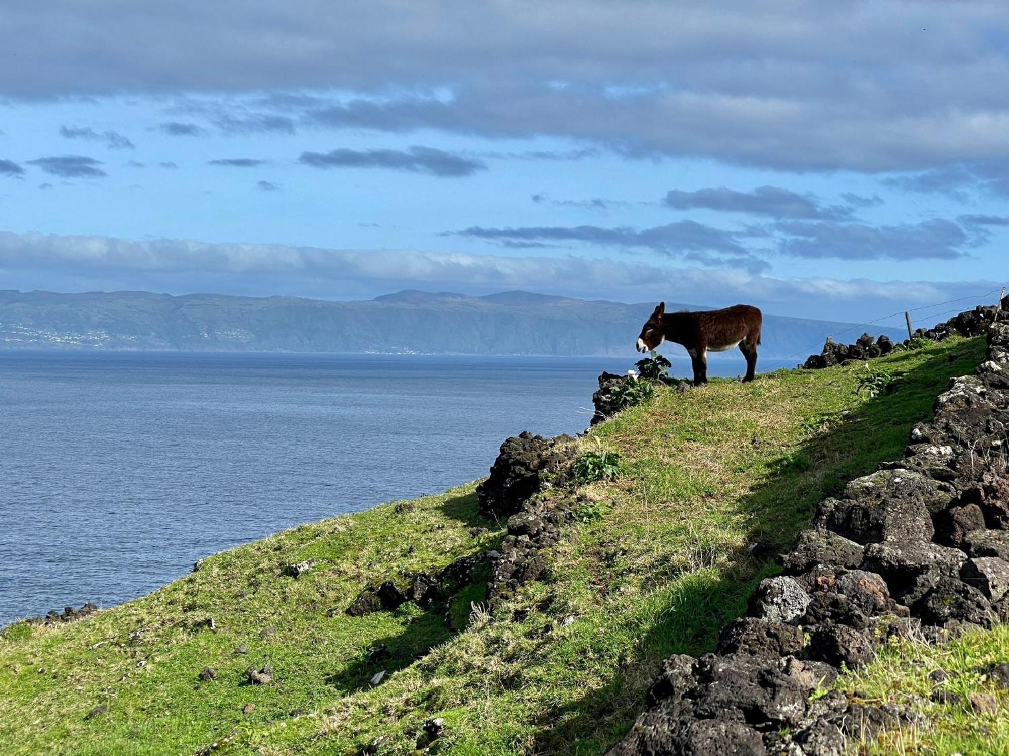 Lava Homes Santo Amaro (Azores) Exterior foto